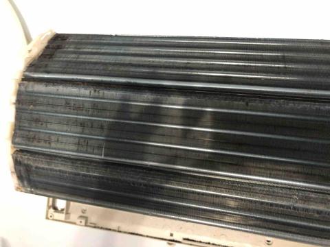 勝 - 保養前圖片