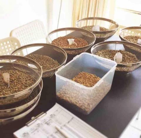 PHOINIKAS Café Studio - 