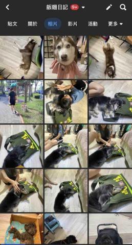 良得消毒病媒防治 - 