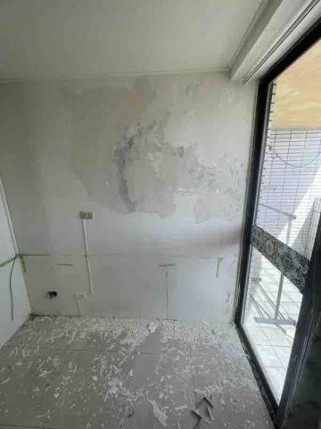 吳宗倫 - 除壁癌 