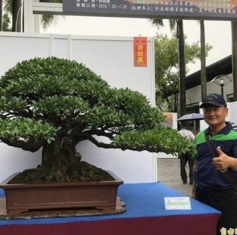 勤園景觀設計 - 總冠軍__榕樹