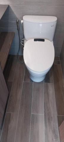 阿偉 - 馬桶安裝