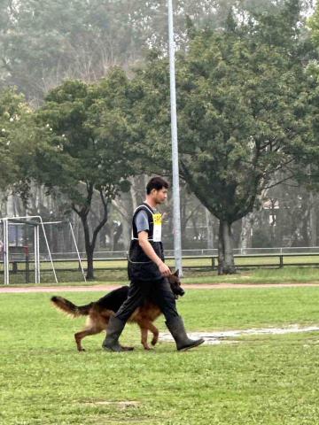 汪星訓犬師（昱誠） - 