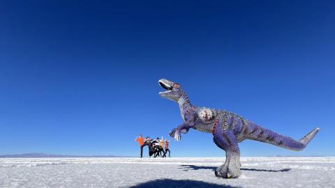 楊浚瑞 - 玻利維亞Uyuni三天兩夜鹽沼之旅