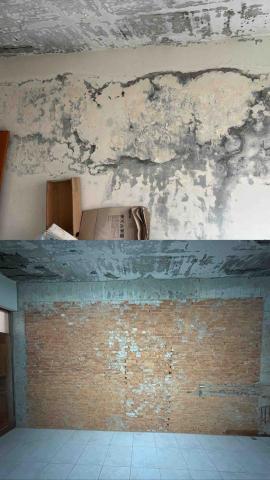 張少剛 - 壁癌打除