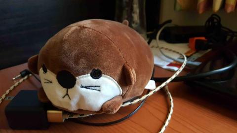 提供打工兼職台北服務的專家水獺工作