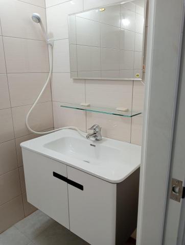 阮建昇 - 衛浴臉盆浴櫃鏡台安裝