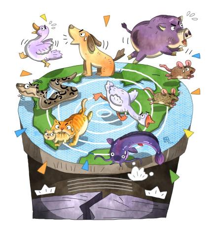 BOB - 人間福報科普插圖-動物感應地震