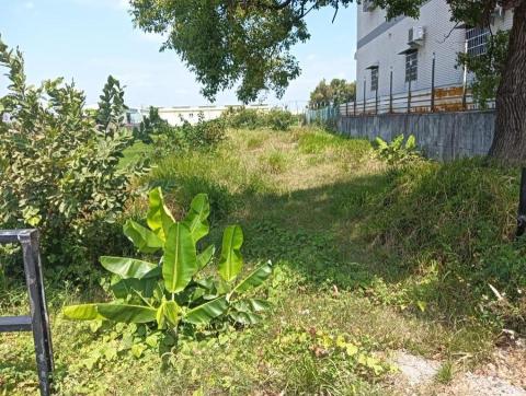 長春樹園藝企業社 - 鳥松整地前