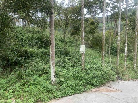 小巴個人工作室 - 