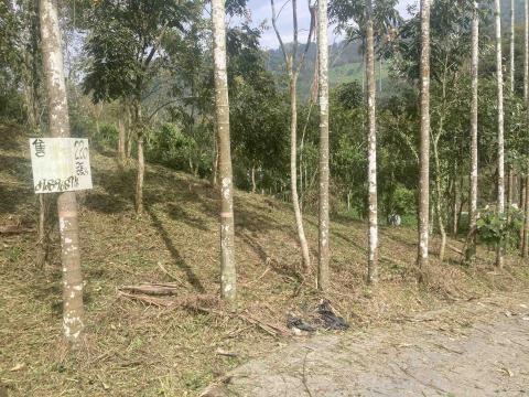 小巴個人工作室 - 