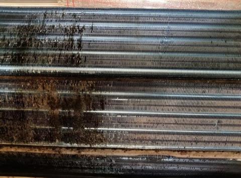 陳宜良 - 清洗對比