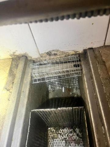 24小時病媒防治 - 