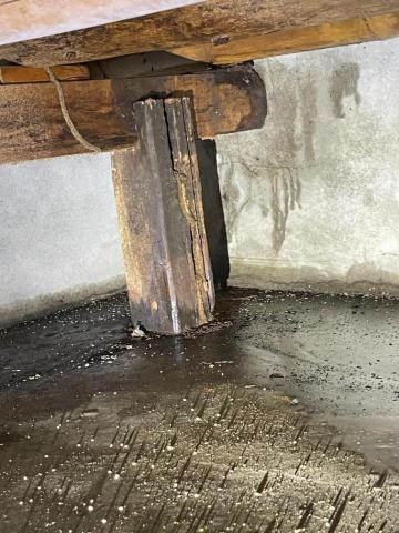 24小時病媒防治 - 