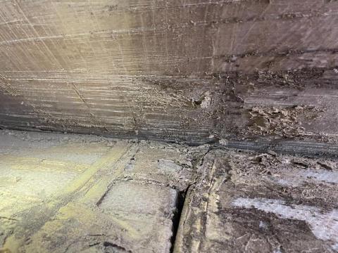 24小時病媒防治 - 