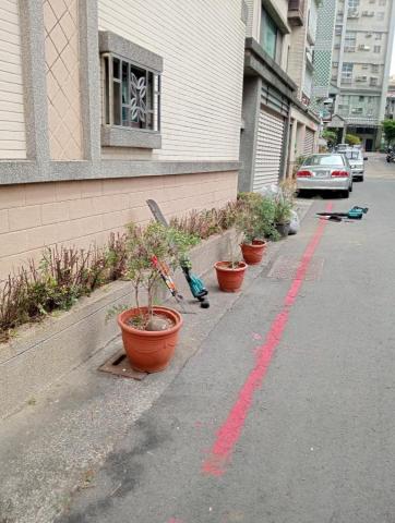 王東明 - 永康國華街綠籬修剪 王東明 - 永康國華街綠籬修剪