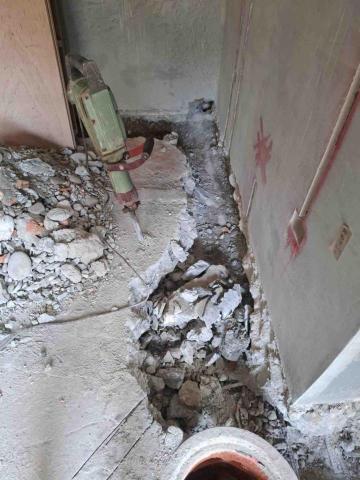 陳亮 - 打除找糞管