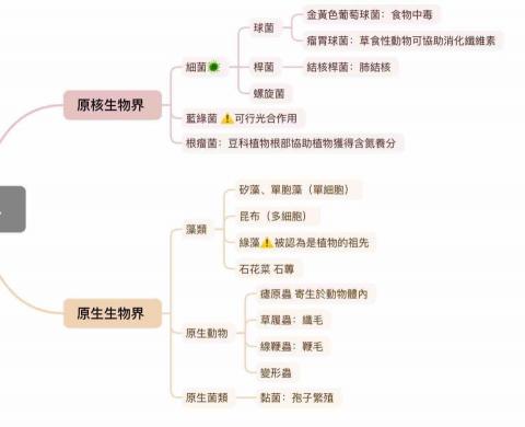 涂育瑋 - 國一下生物段考 統整重點成心智圖表方便學生複習