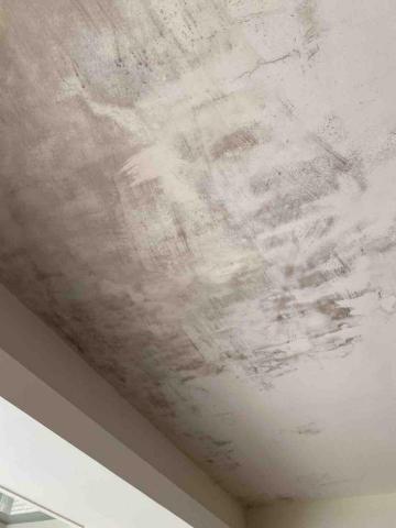 潔兒樂 油漆/清潔/統包工程 -  潔兒樂 油漆/清潔/統包工程 -