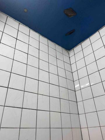 潔兒樂 油漆/清潔/統包工程 - 浴室除霉 潔兒樂 油漆/清潔/統包工程 - 浴室除霉