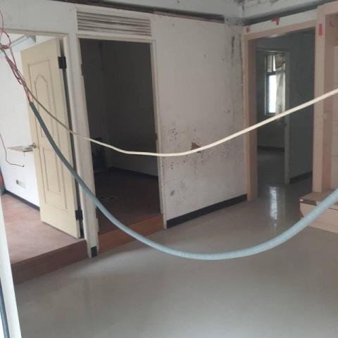 林家瑩 - 清運後