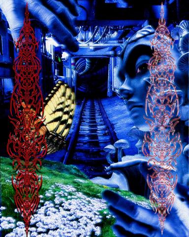 暹邏設計 - 多媒體海報