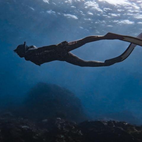 提供蝶式服務的專家Misa