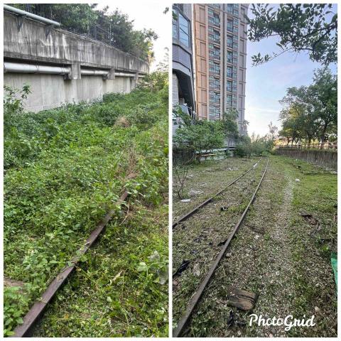 除草特攻隊 - 客戶要求，盡力做到最好