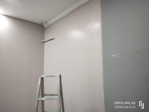 防水達人 - 立邦乳膠漆