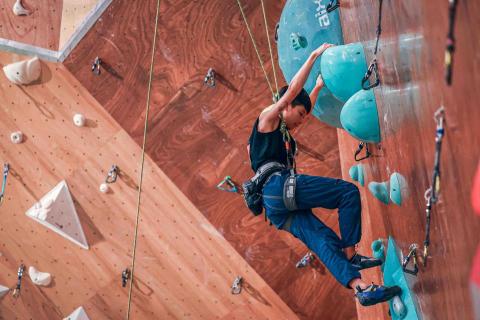 黃愉庭 -  黃愉庭 -