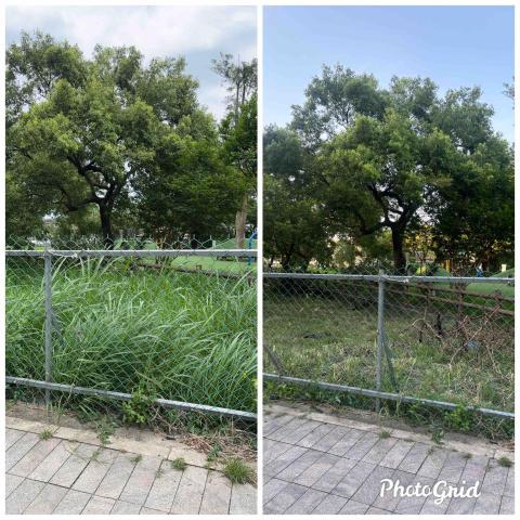 除草特攻隊 - 大坪數施作也不馬虎