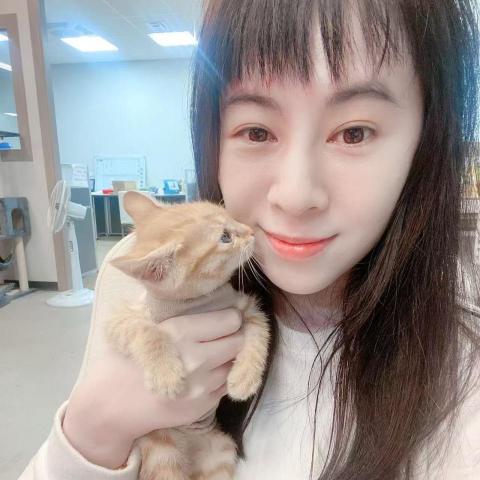 提供孫盛希服務的專家林希妃