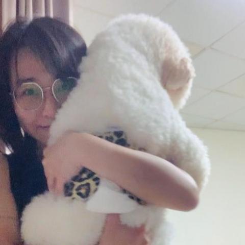 提供按讚攻擊服務的專家陳榕