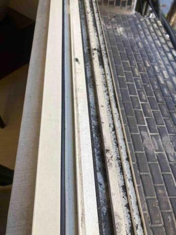 彭雅莉 - 窗溝前照