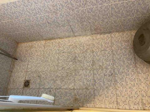 彭雅莉 - 地板皂垢前照