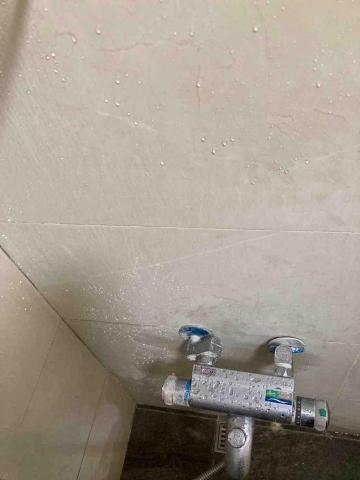 彭雅莉 - 牆壁皂垢前照