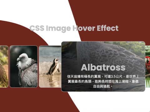 xDesign 極致設計 - CSS, JavaScript Design