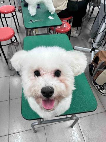 提供寄養照護服務的專家洪家菱