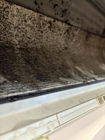 個人清洗工作室 - 洗前