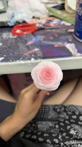 陳宜萱 - 紙黏土小作品