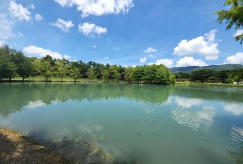 提供淡水英文服務的專家Y