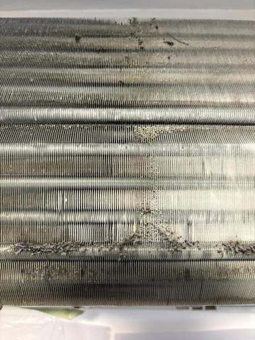 個人清洗工作室 - 洗前