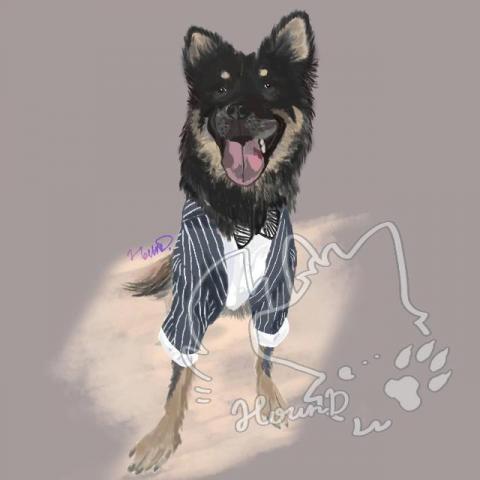 攸狼 - 在寵物插畫