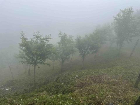 小羅 - 價格公道