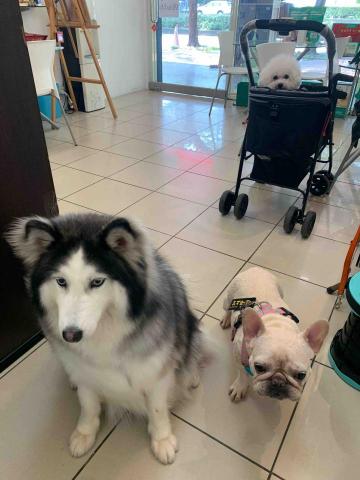 台中❤️快樂寶貝媽咪家 - 寶貝喜歡1樓⋯⋯看看人來人往