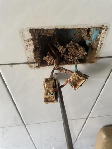 可誠環衛 - 住宅白蟻防治