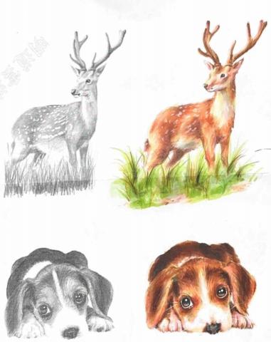 黃子庭 -  COPIC麥克筆