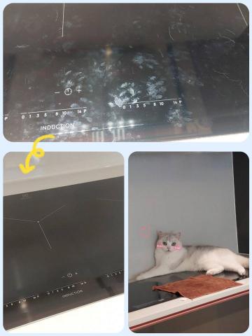 Aya_Clean It All - 有寵物也沒有問題