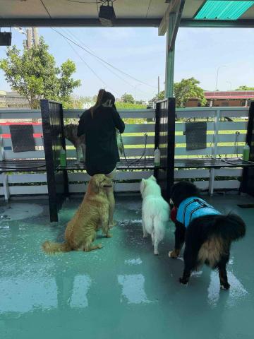 提供按讚攻擊服務的專家亮亮