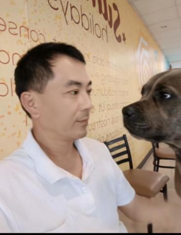 訓犬達人啾比拔 - 加納利犬